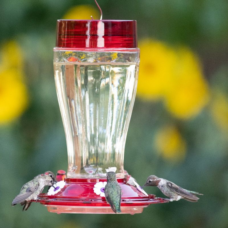 Red feeders attract more visitors