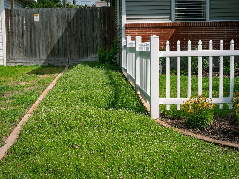 Traditional Grass Lawns