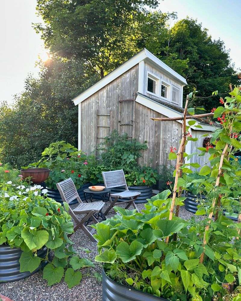 Budget-Friendly Food Production