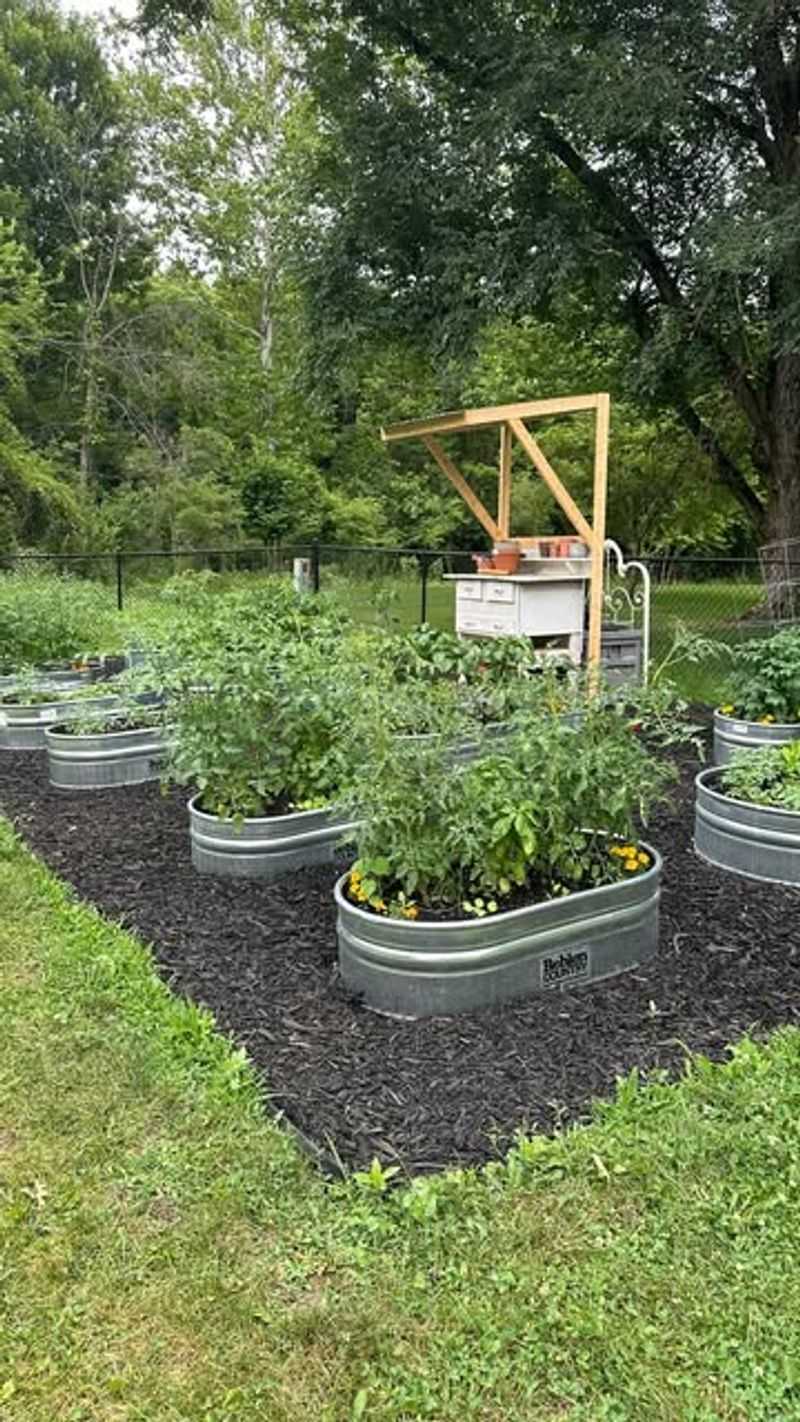 Morning Garden Rituals