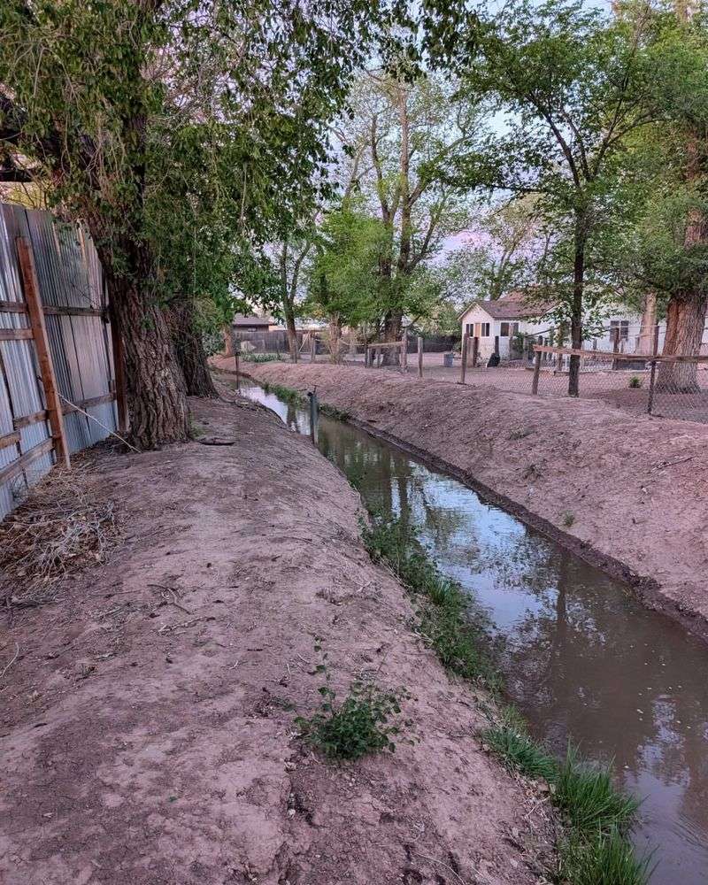 Flood Irrigation Timing
