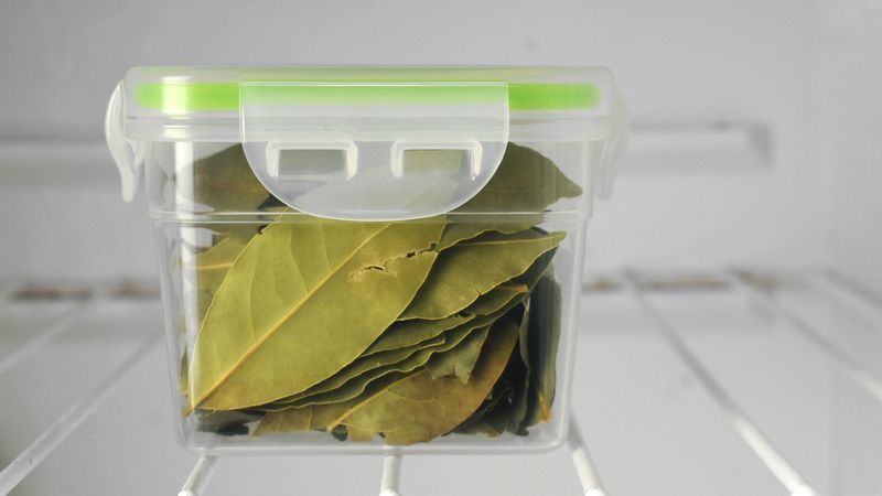 Prevents Food Contamination