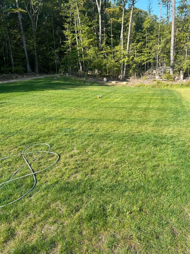 Nitrogen Runoff Concerns