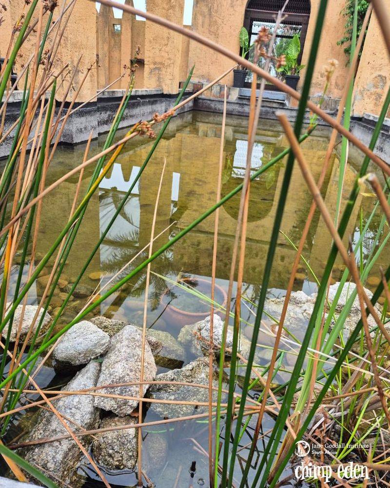 Plant-Based Research and Conservation Efforts