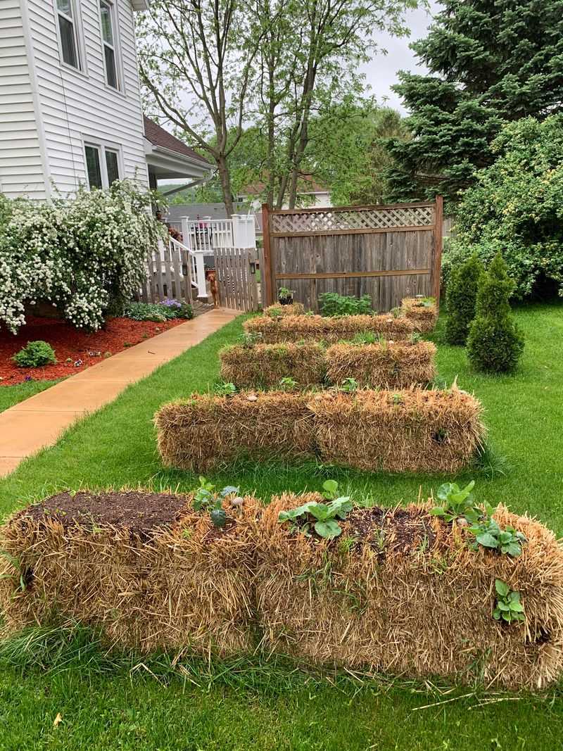 Straw Bale Gardens