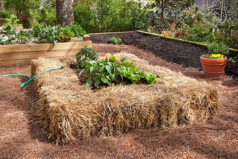 Straw Bale Border Bed