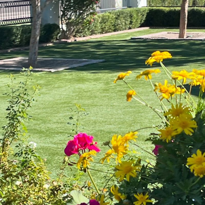 Artificial Grass