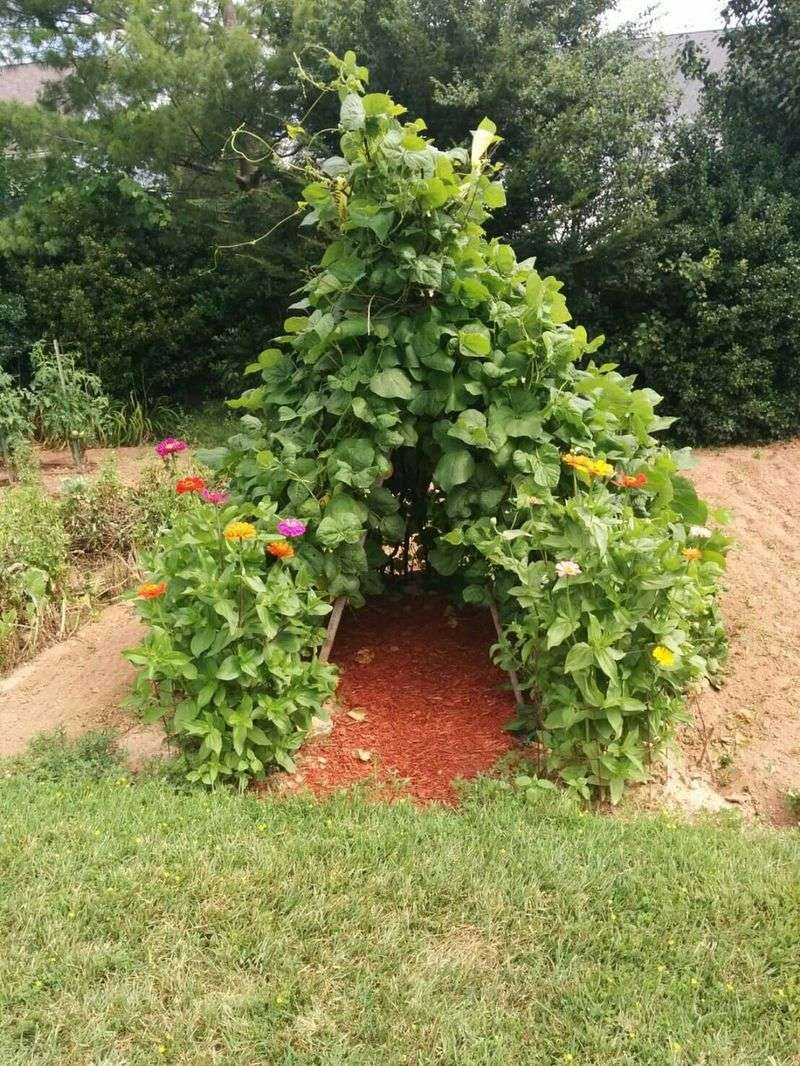 Tipi Bean Tower