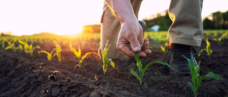 Join Military Veteran Farming Programs