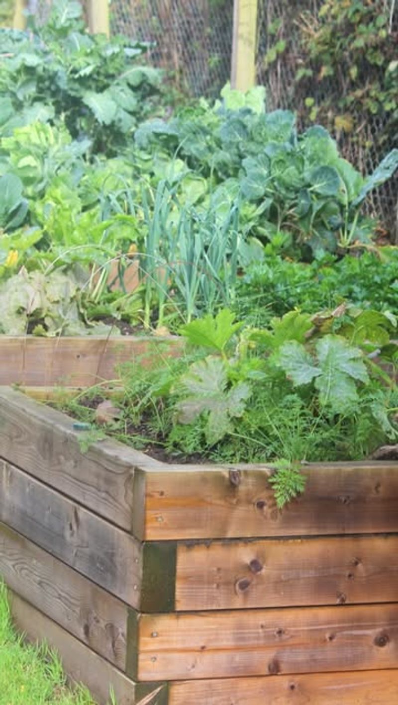 Add Organic Matter Regularly