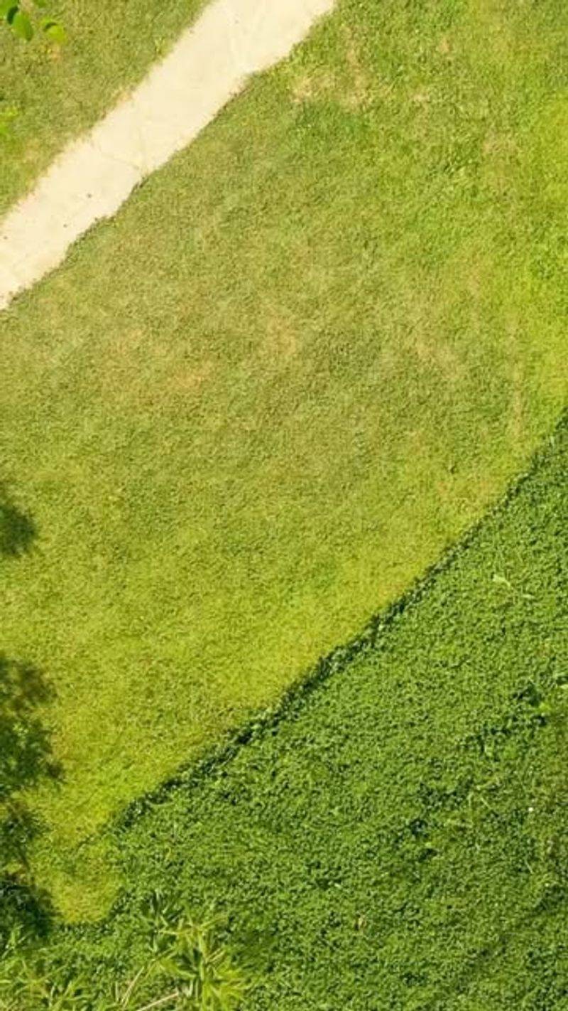Let Clippings Stay (Usually)