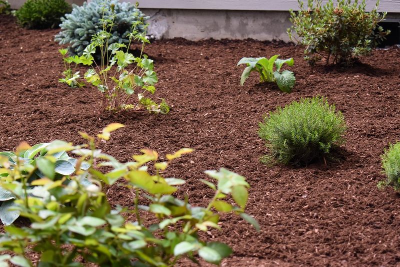 Acidic Soil Areas