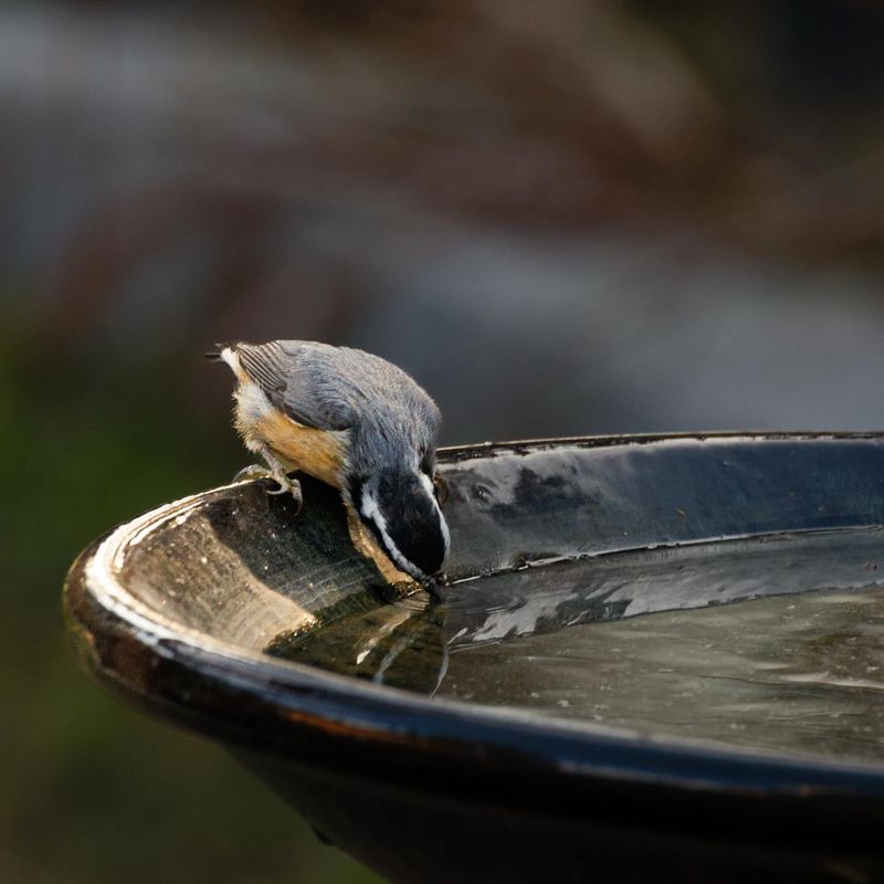 Winter Water Woes