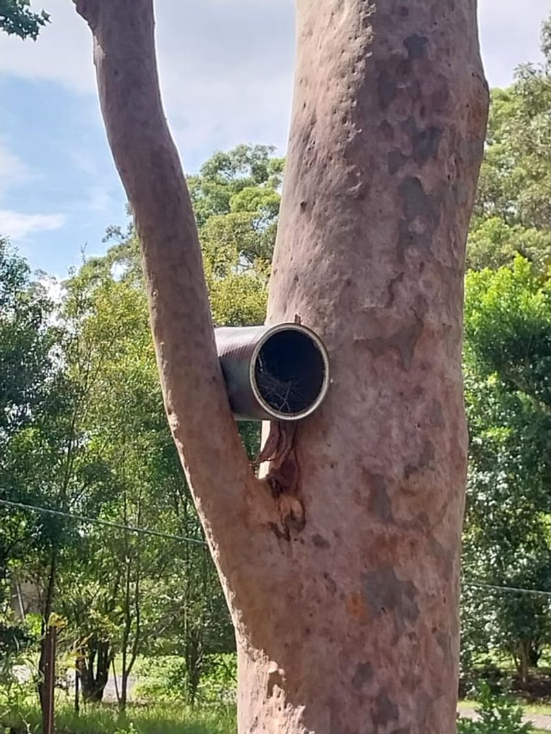 Tin Can Seed Tower