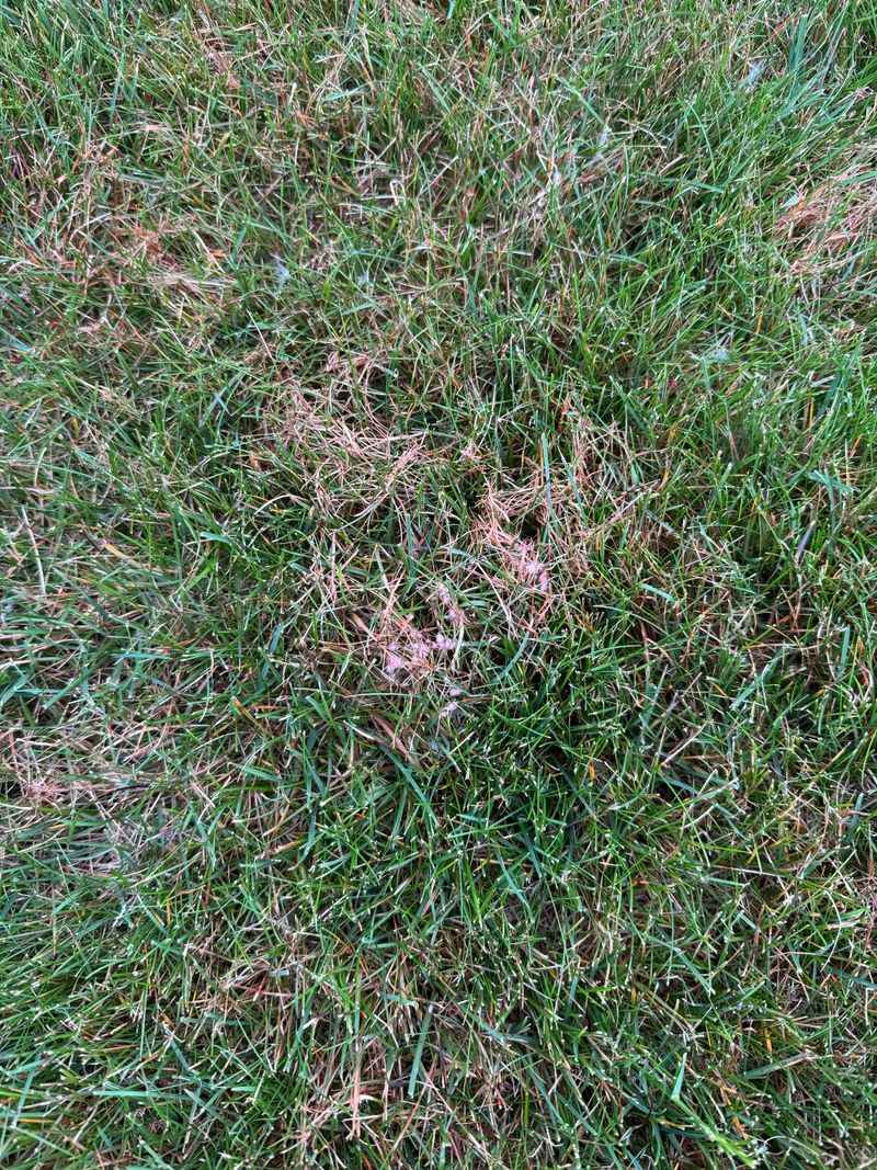 Poor Air Circulation Traps Humidity