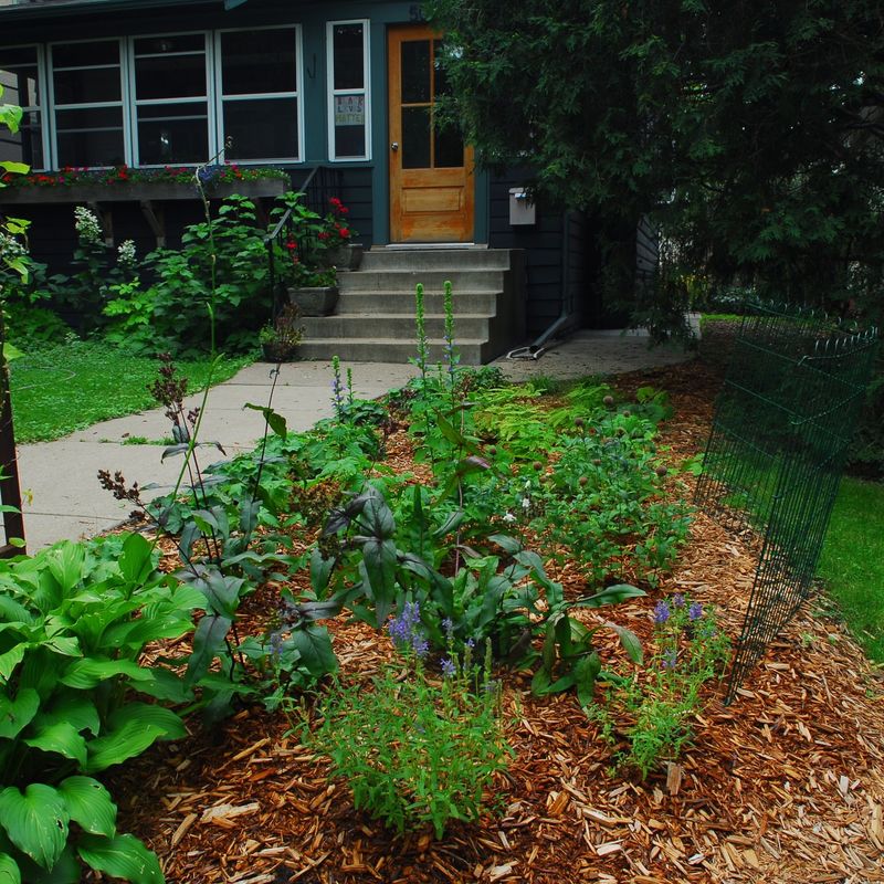 Feed A Rain Garden