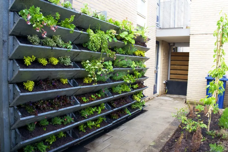 Vertical Garden Wall