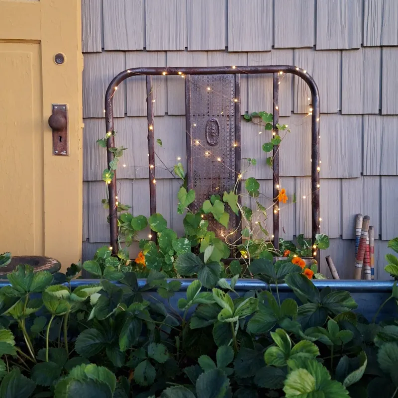 Vintage Window Frame Trellis