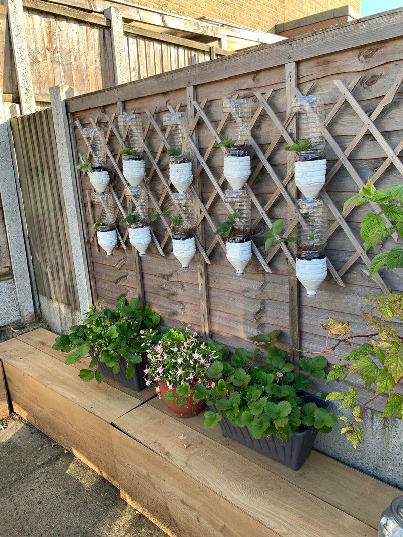 Bottle Tower Gardens