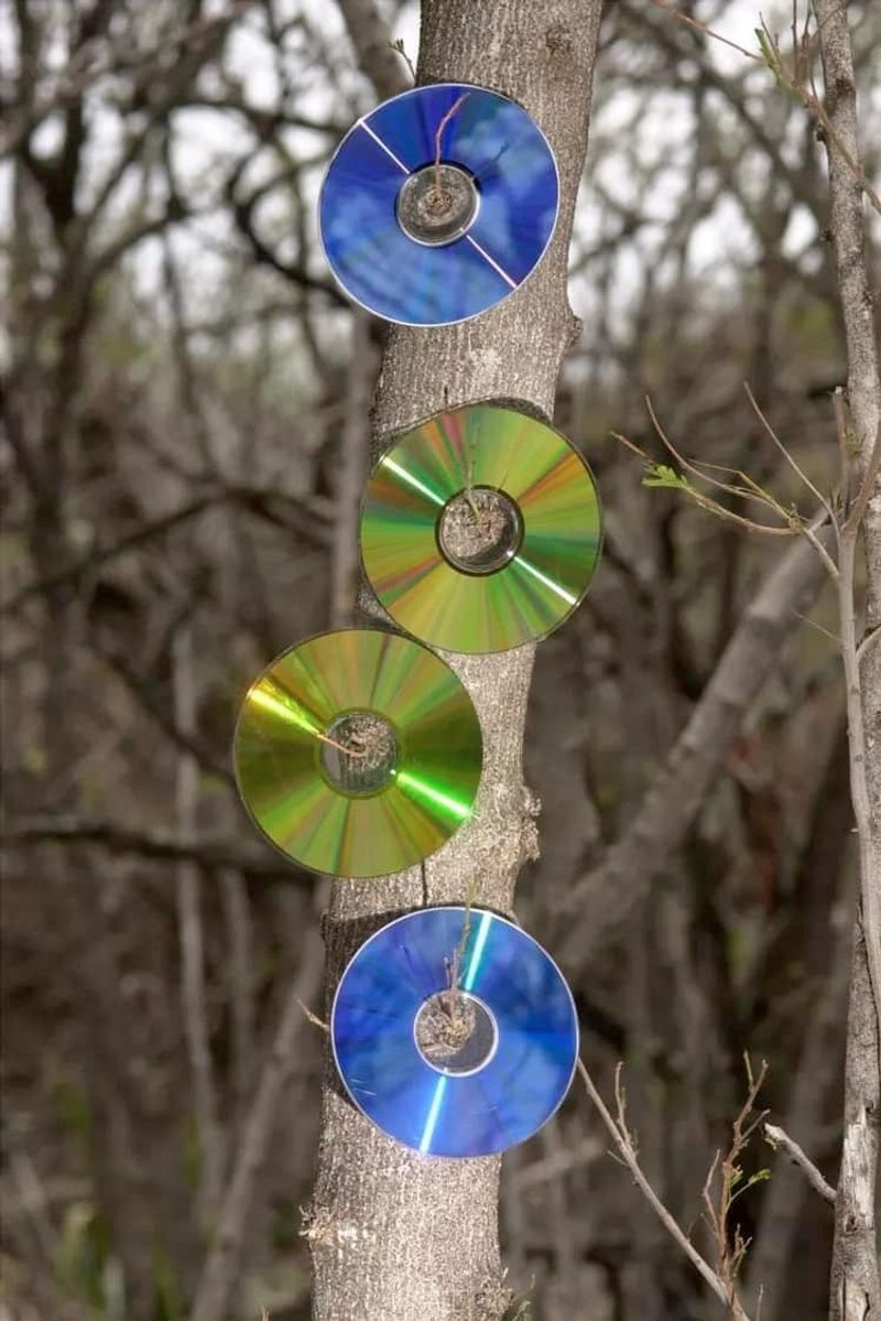Hang Old CDs or DVDs