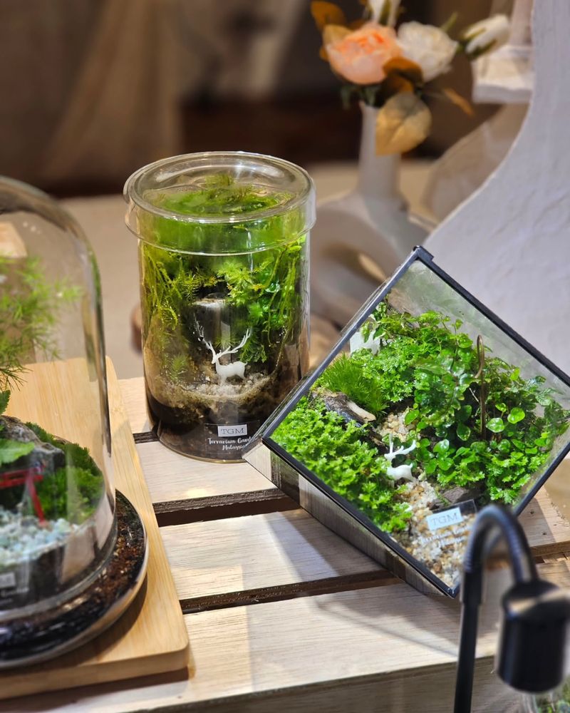Float Orchids in Water Terrariums