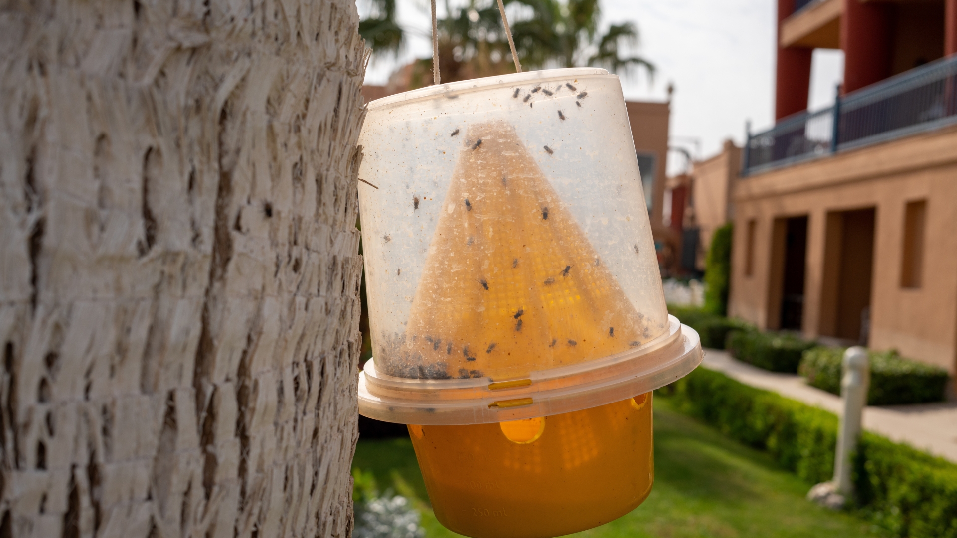 Create A ‘Mosquito Bucket Of Doom’ For A Budget-Friendly Way To Banish Skeeters From Your Backyard