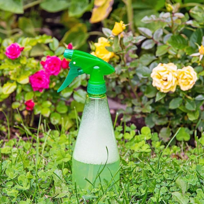 Apply Organic Vine Deterrents