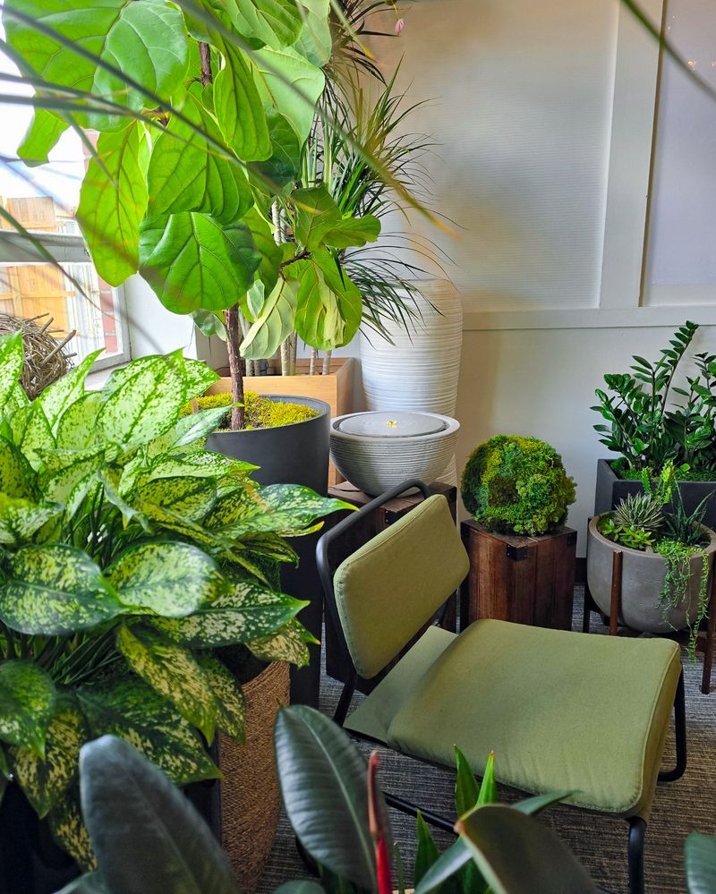 Group Plants Together