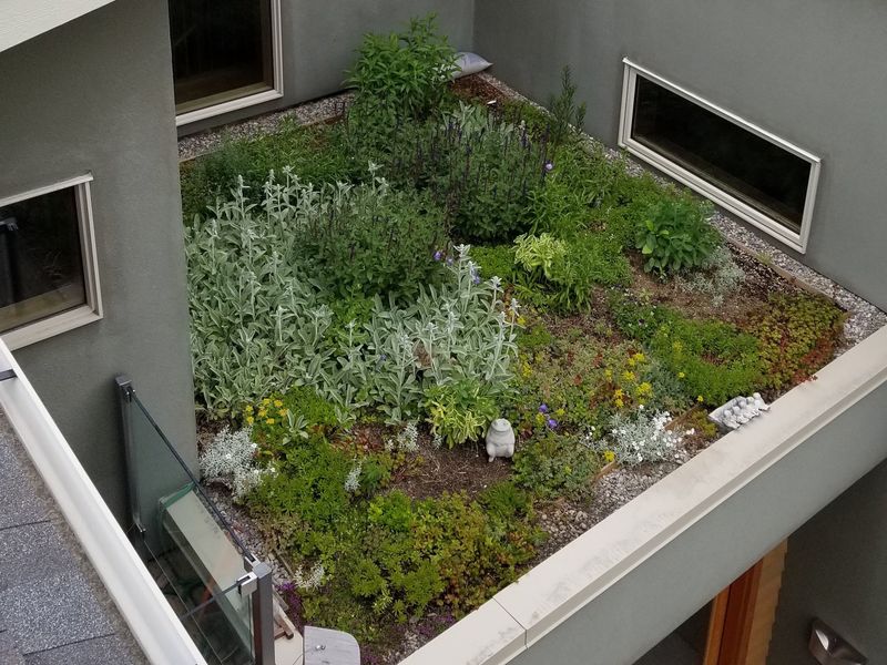 Install A Green Roof Shed
