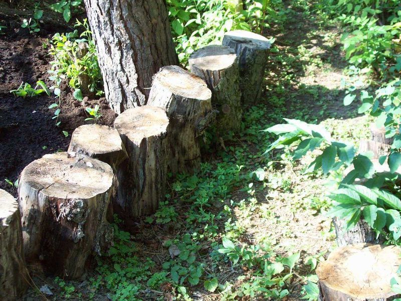 Add A Rustic Branch Border