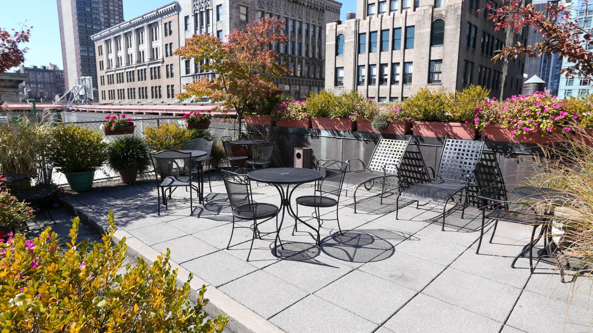 new york rooftop garden
