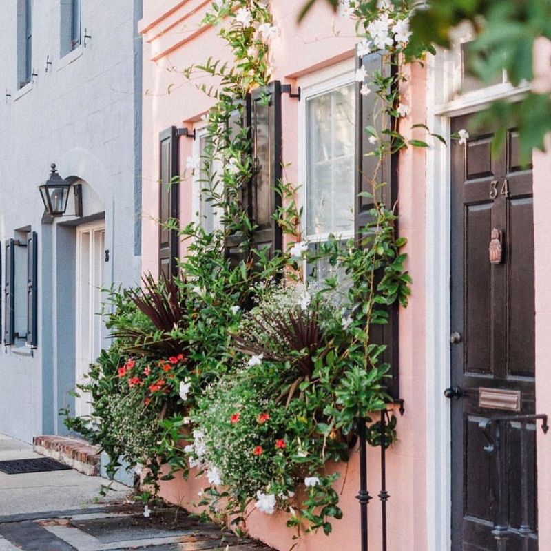 Install Window Boxes