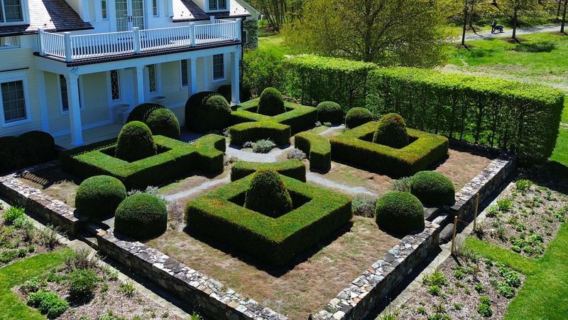 Plant A Classic Boxwood Parterre