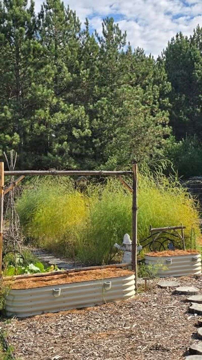 Incorporate Pine Needles Strategically