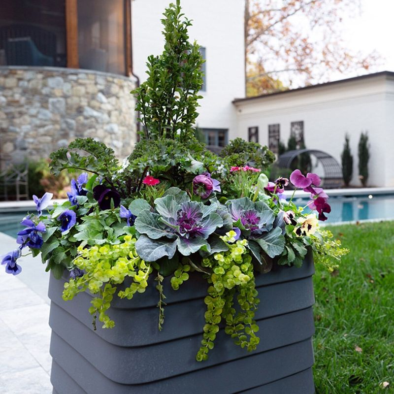 Use Self-Watering Containers