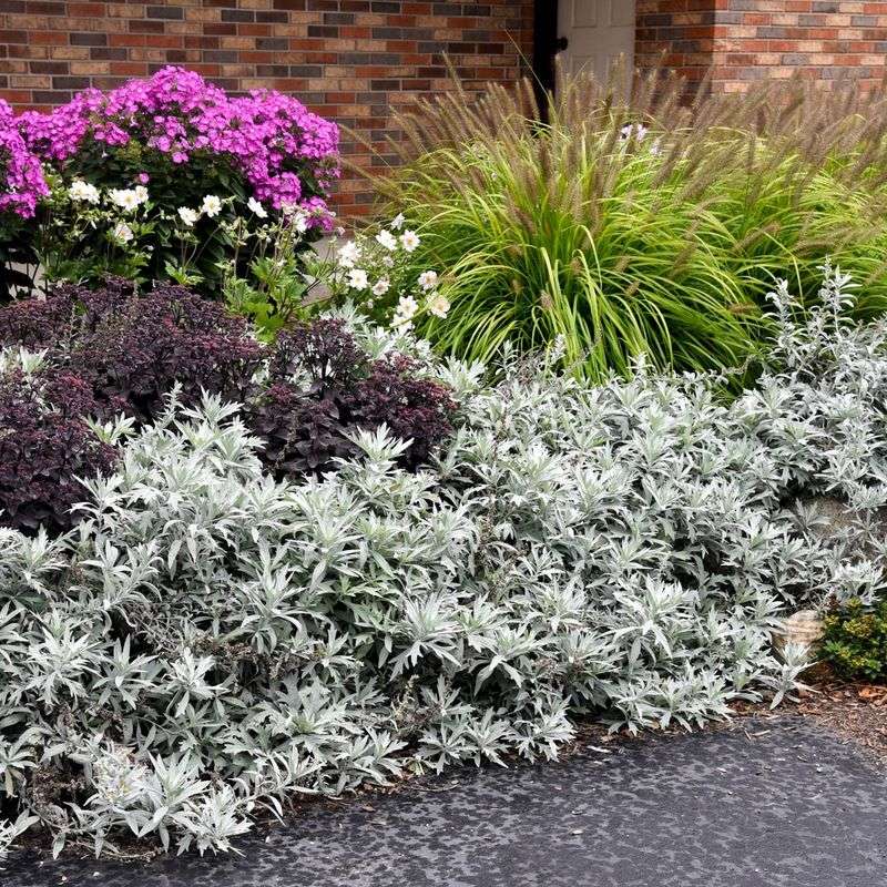 Don't Forget Foliage Colors