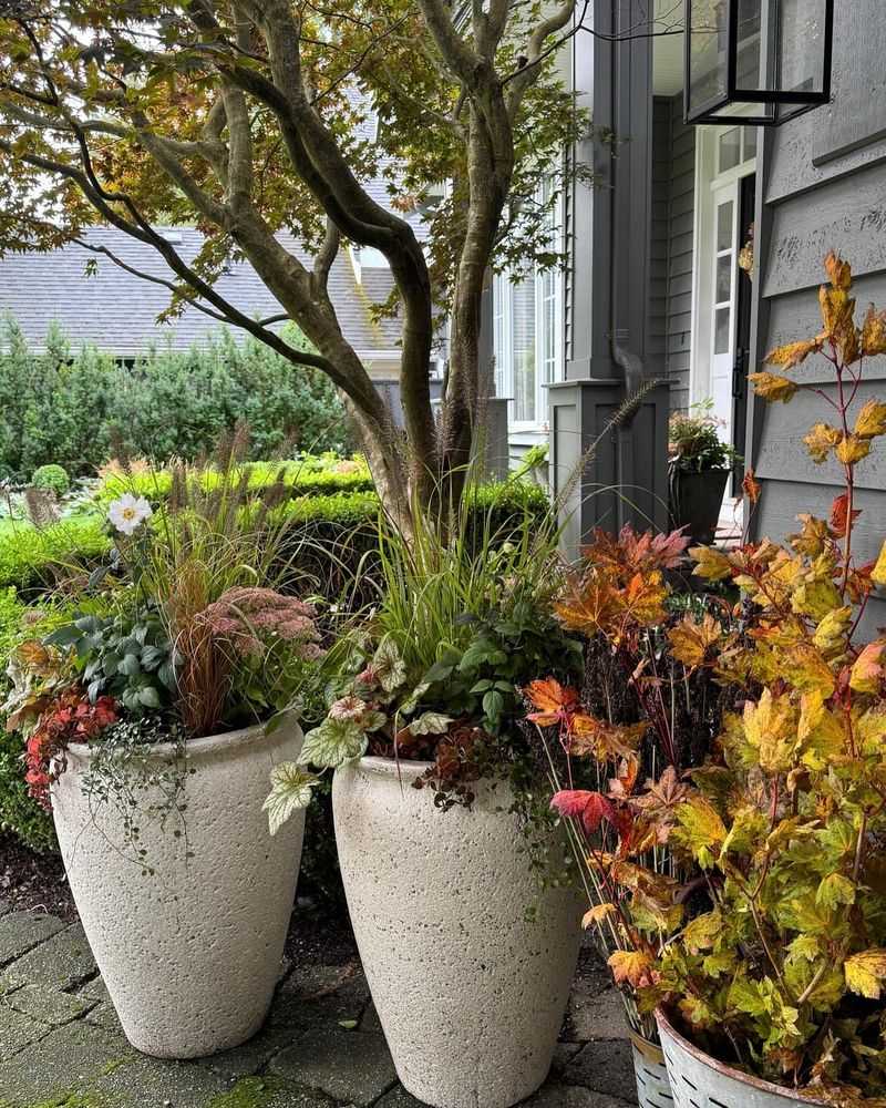Add Decorative Containers