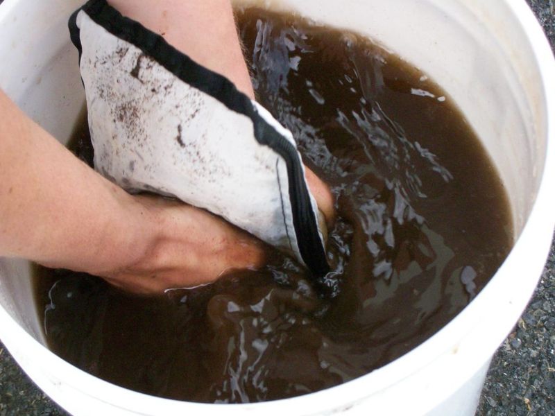 Strain Homemade Compost Tea