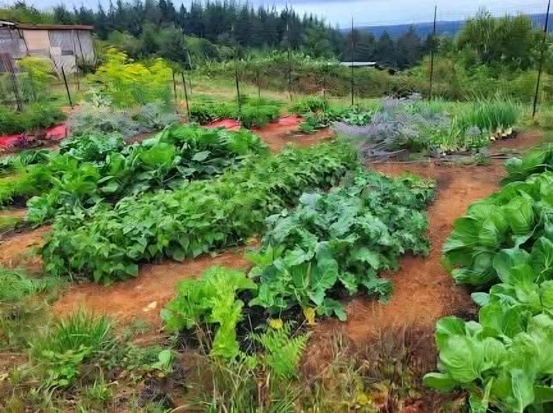 Postpone Fertilizing