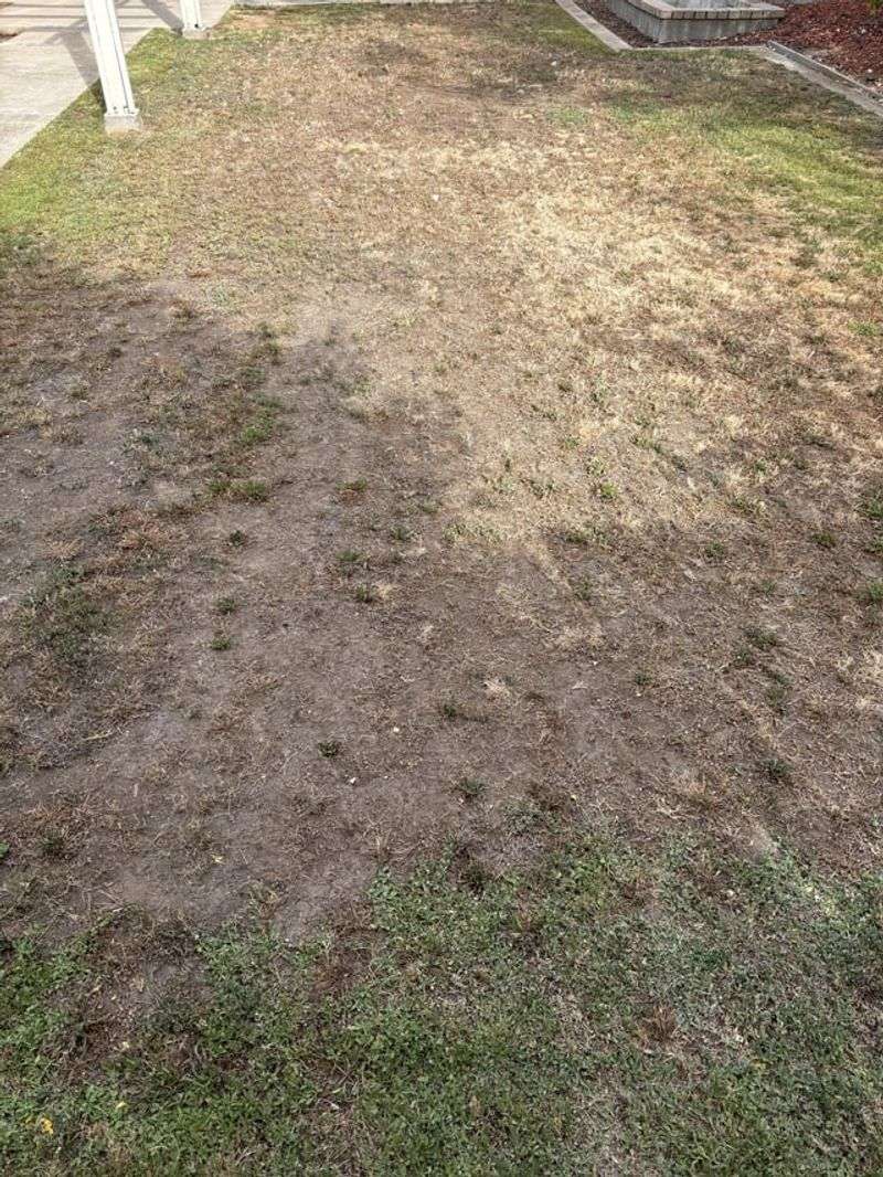 Aerate Compacted Soil