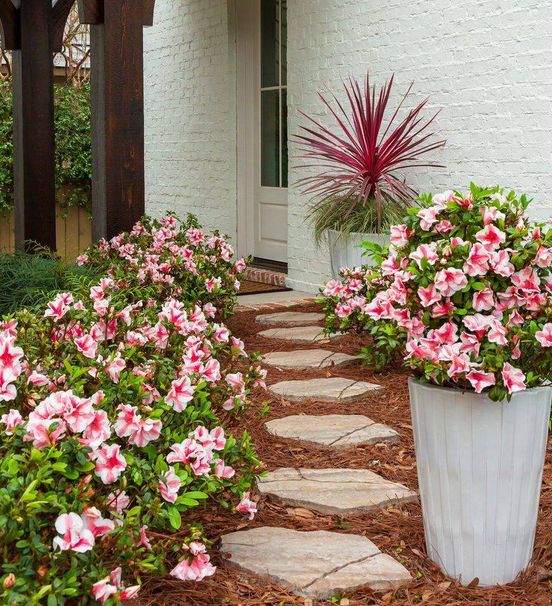 Design a Four-Season Azalea Garden