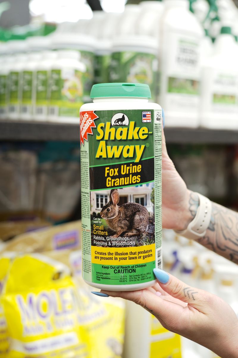 Apply Predator Urine Around Perimeter