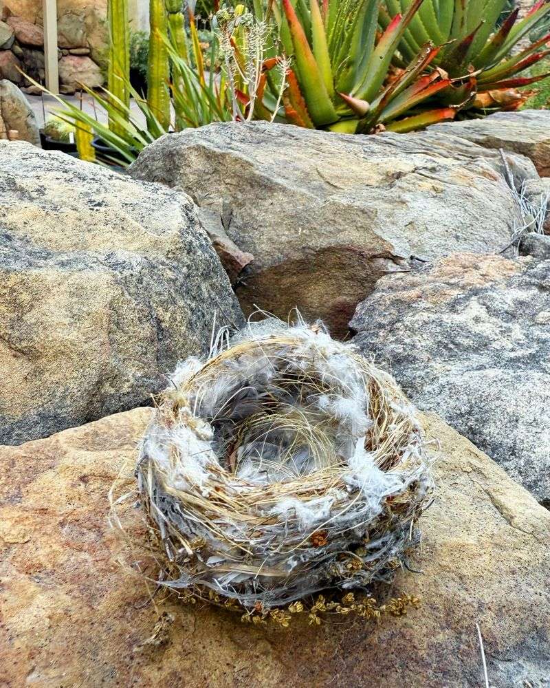 Offer Nesting Materials