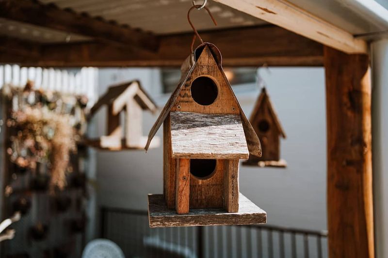 Hang Vintage Birdhouses