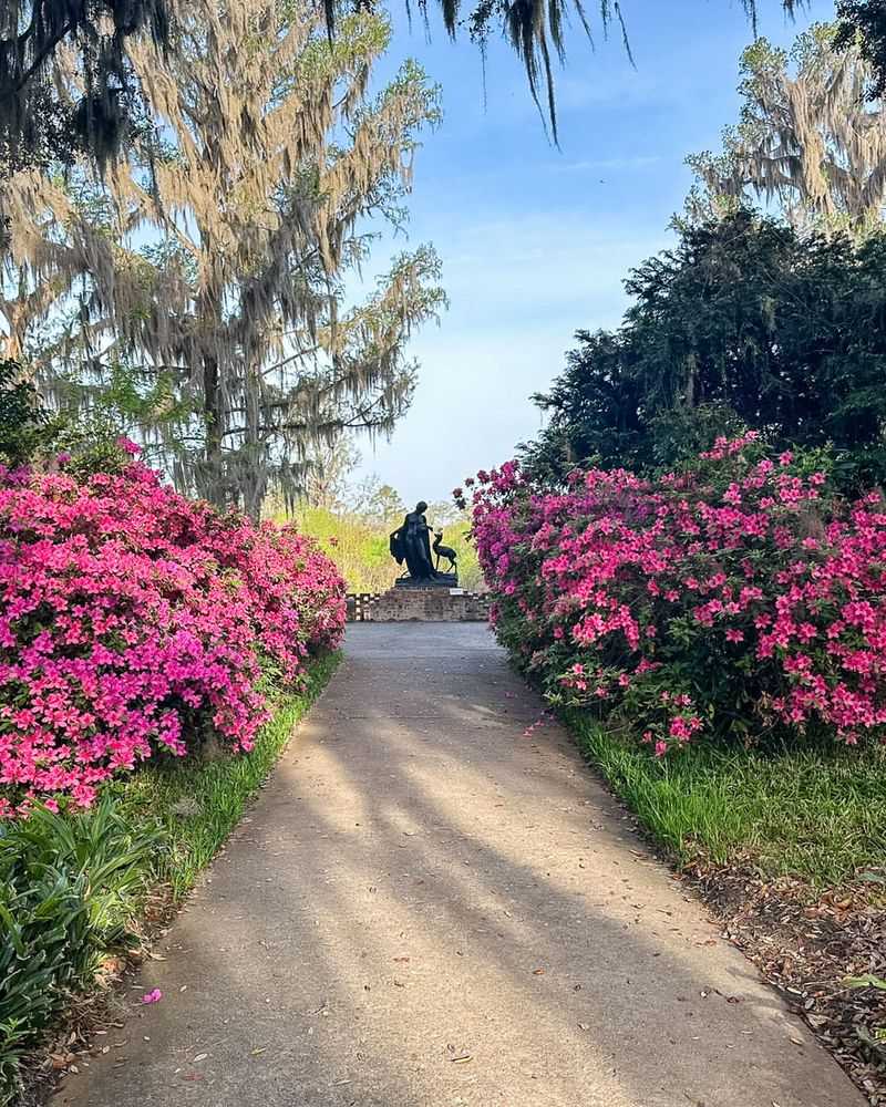 Build a Dedicated Azalea Walk
