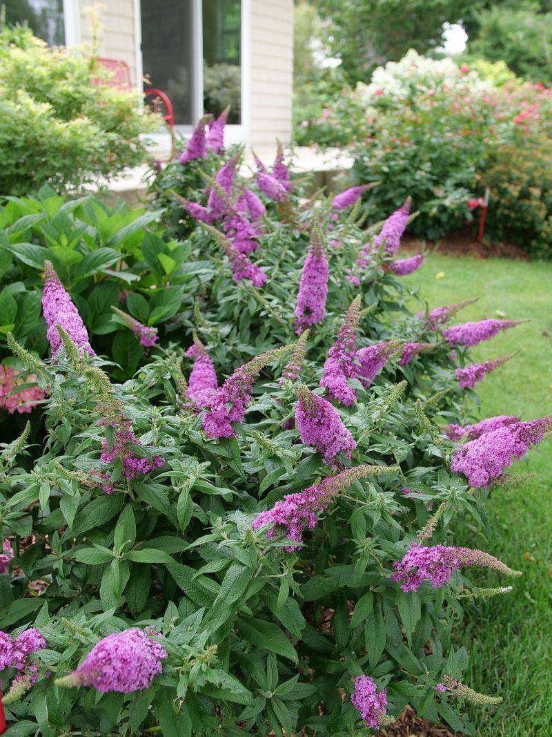 Stays Neat Without Constant Pruning