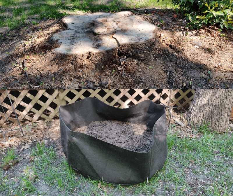 Extends Usable Garden Space