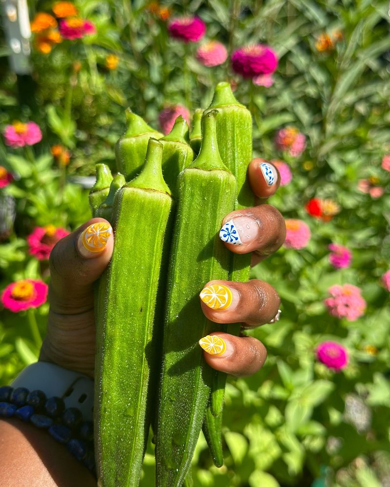 Snappy Okra