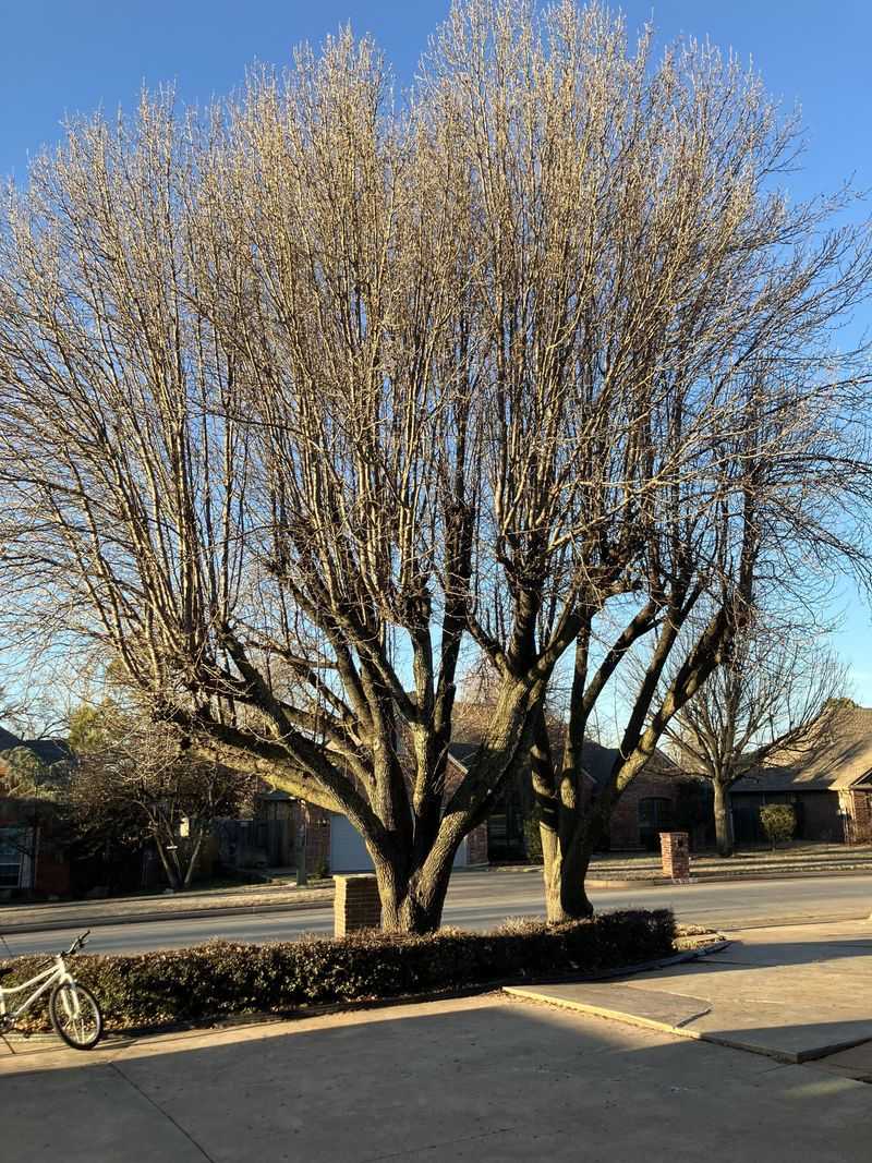 Short Lifespan Wastes Resources