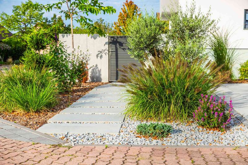 Near Lawn Edges